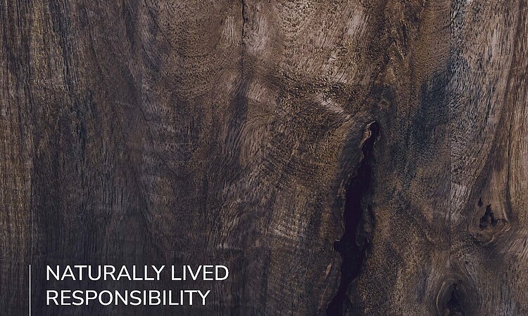 Sustainable Fronts Sustainable Fronts