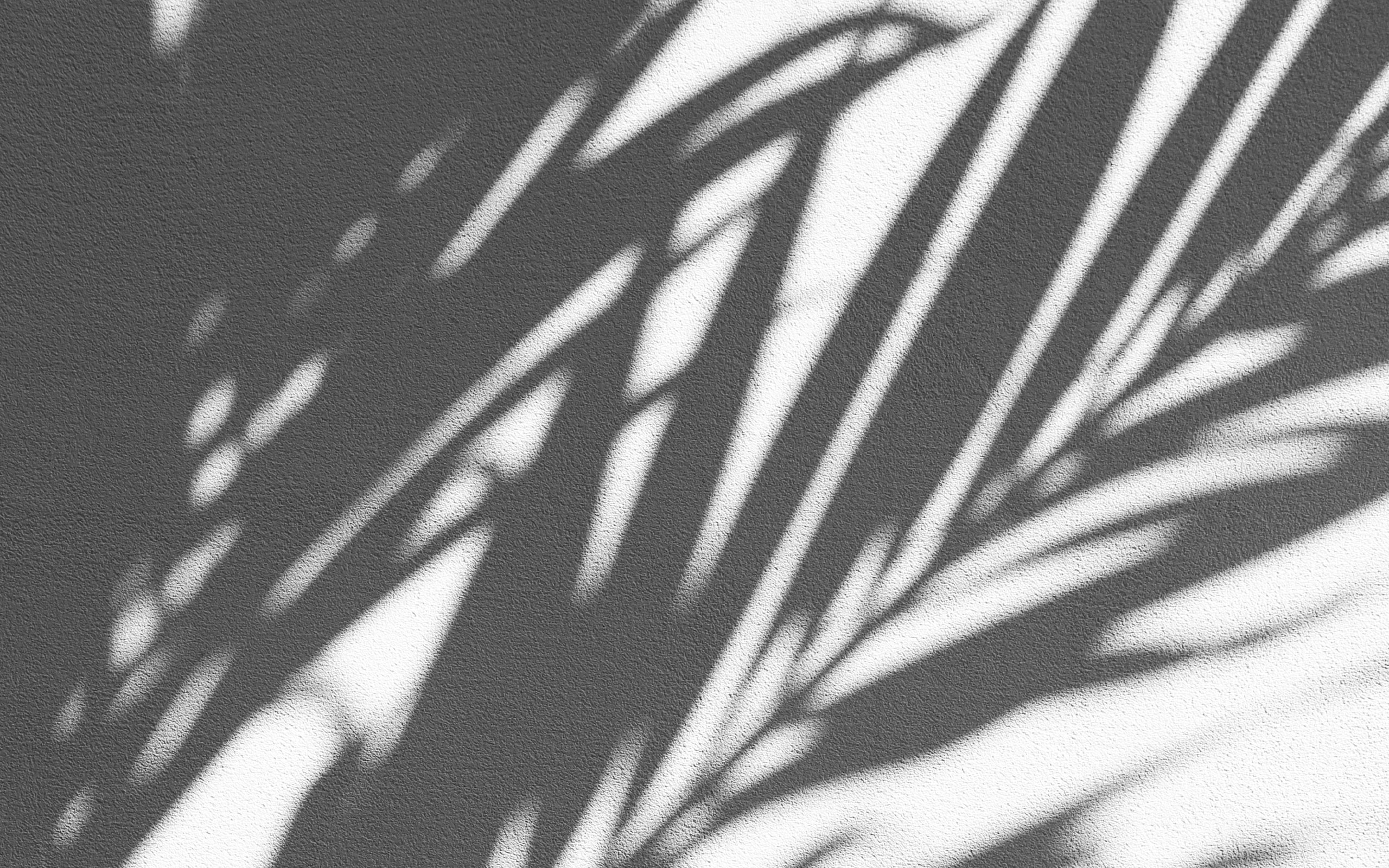 Shadow leaves